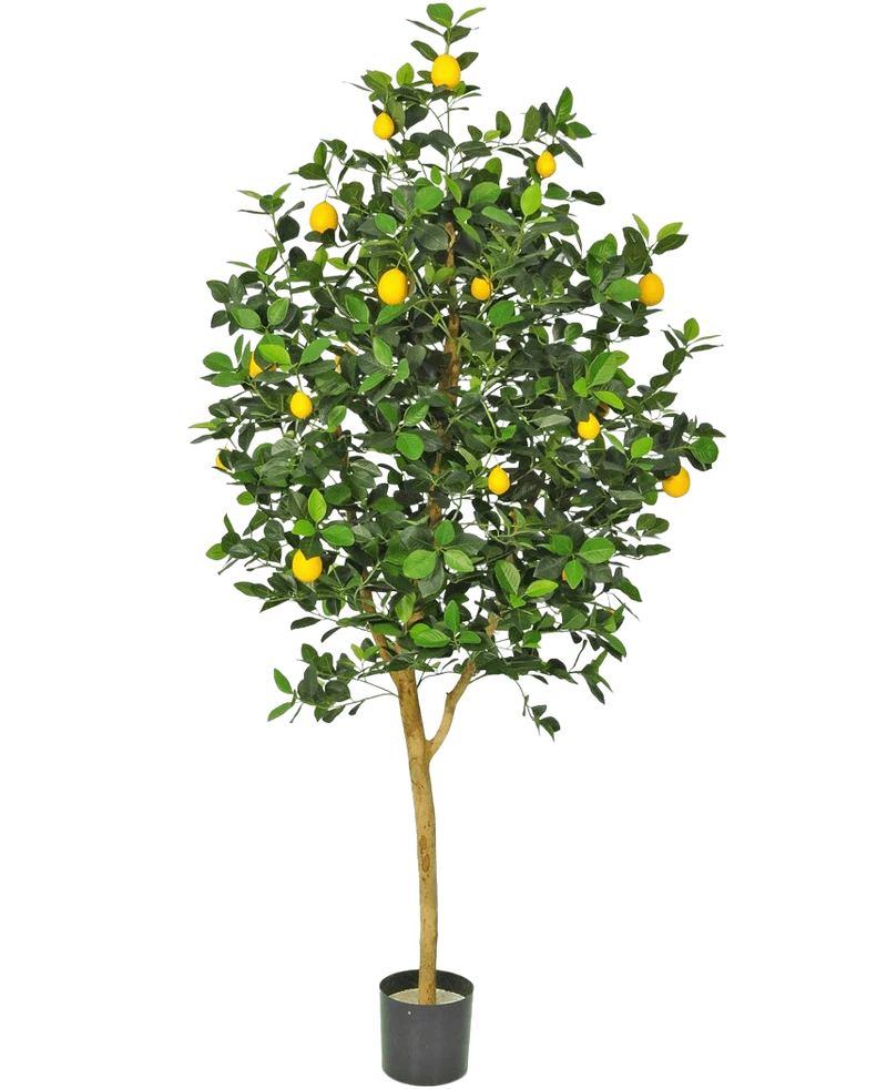 Künstlicher Zitronenbaum 150 cm