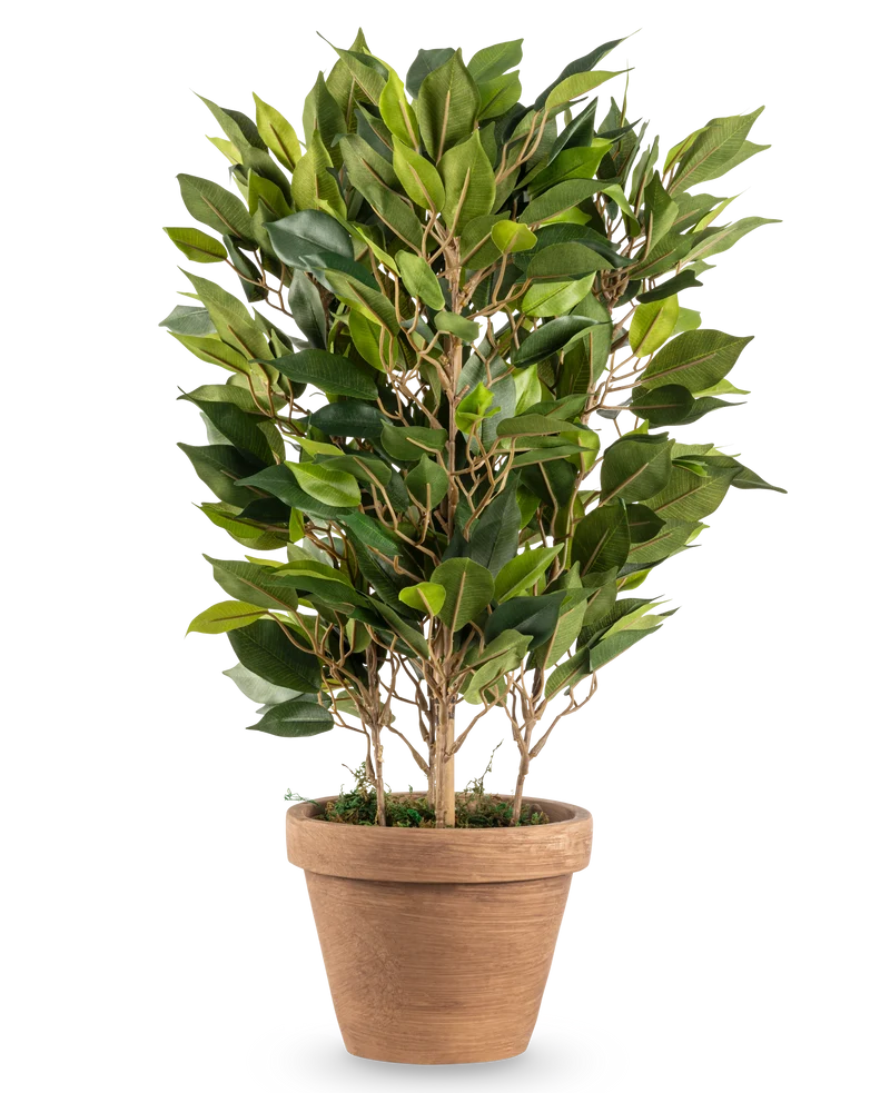 Künstliche Pflanze Mini Ficus 45 cm im Topf