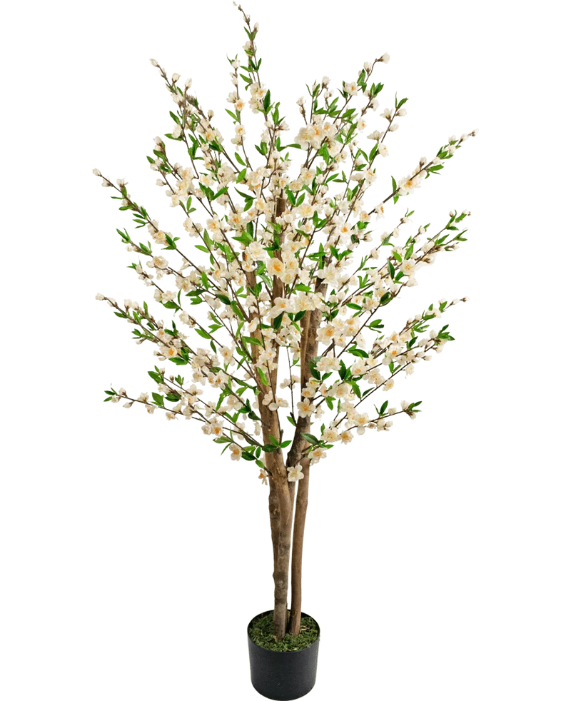 Künstliche Kirschblütenpflanze 150 cm creme
