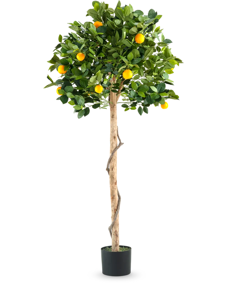 Künstlicher Orangenbaum auf einzelnem Stamm 150 cm