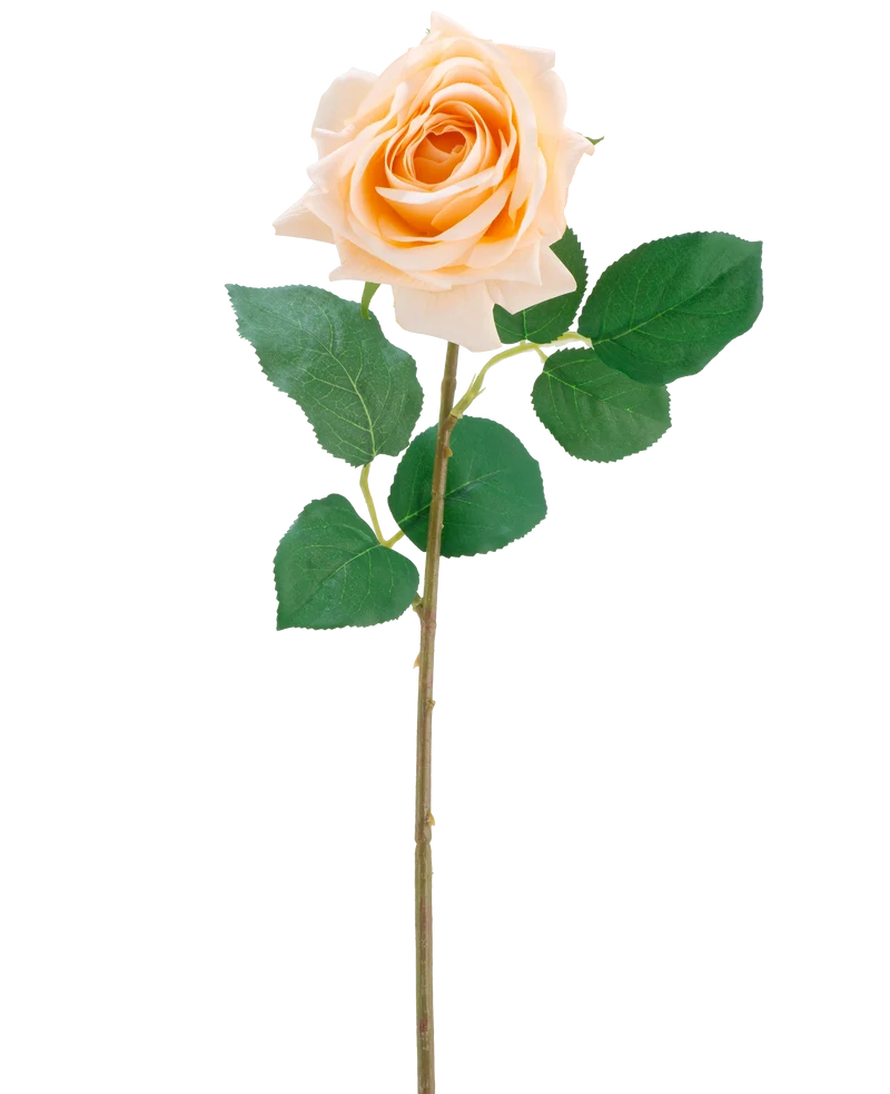 Künstliche Blume Crystal Touch feuchtigkeitsspendende Rose Real Touch champagne 43 cm