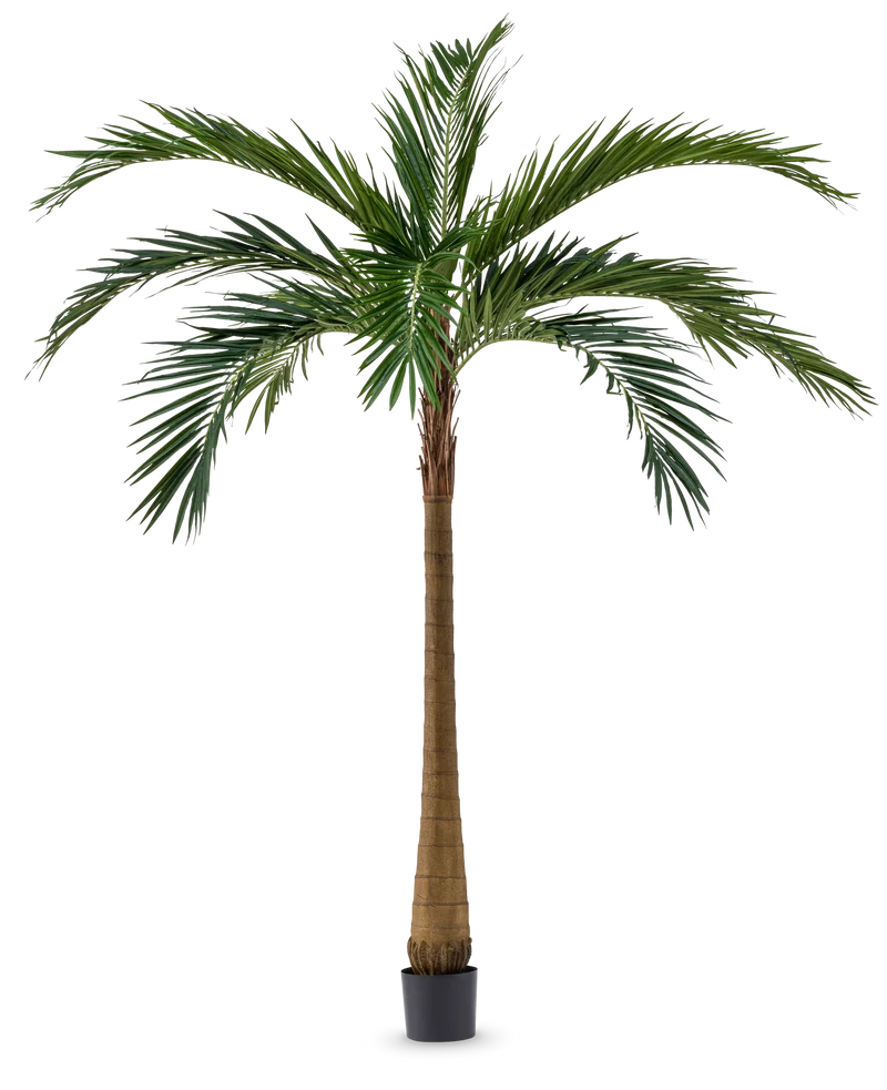 Palme XL Deluxe 270 cm