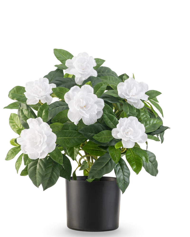 Künstliche Pflanze Gardenia 39 cm weiß