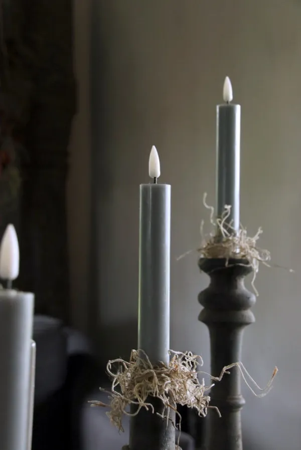 Tillandsia led-kaarsen decoratie