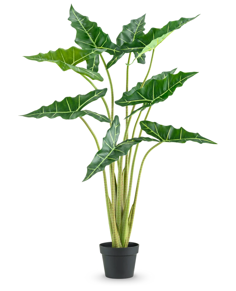 Künstliche Pflanze Alocasia 120 cm