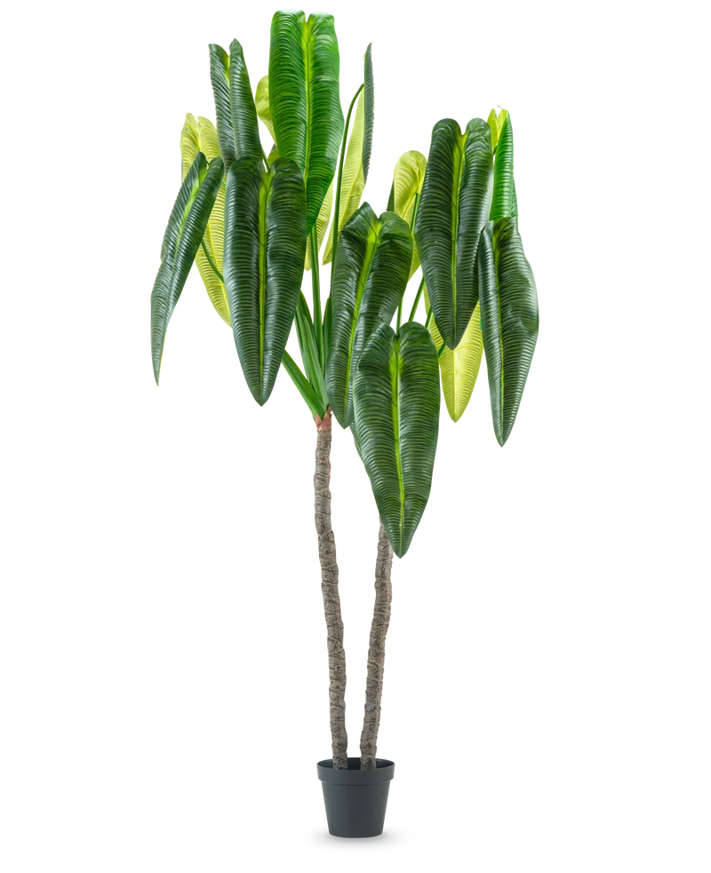 Künstliche Pflanze Anthurium 240 cm