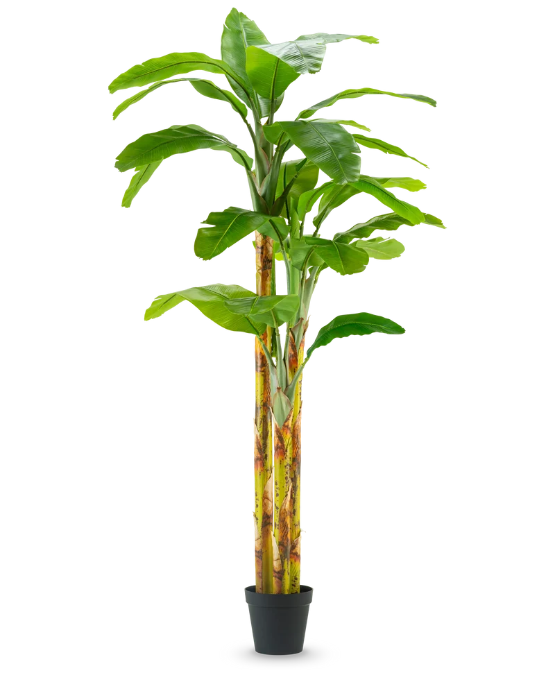 Künstlicher Bananenbaum 270 cm