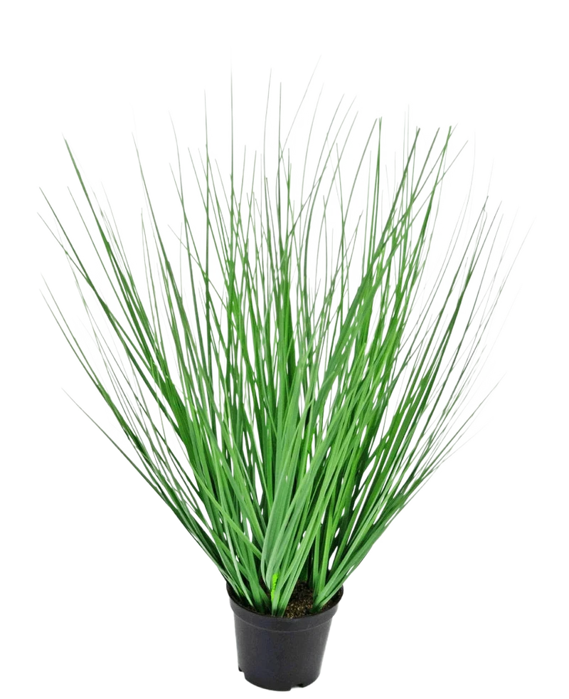 Kunstgras Pflanze Zwiebel 50 cm feuerhemmend