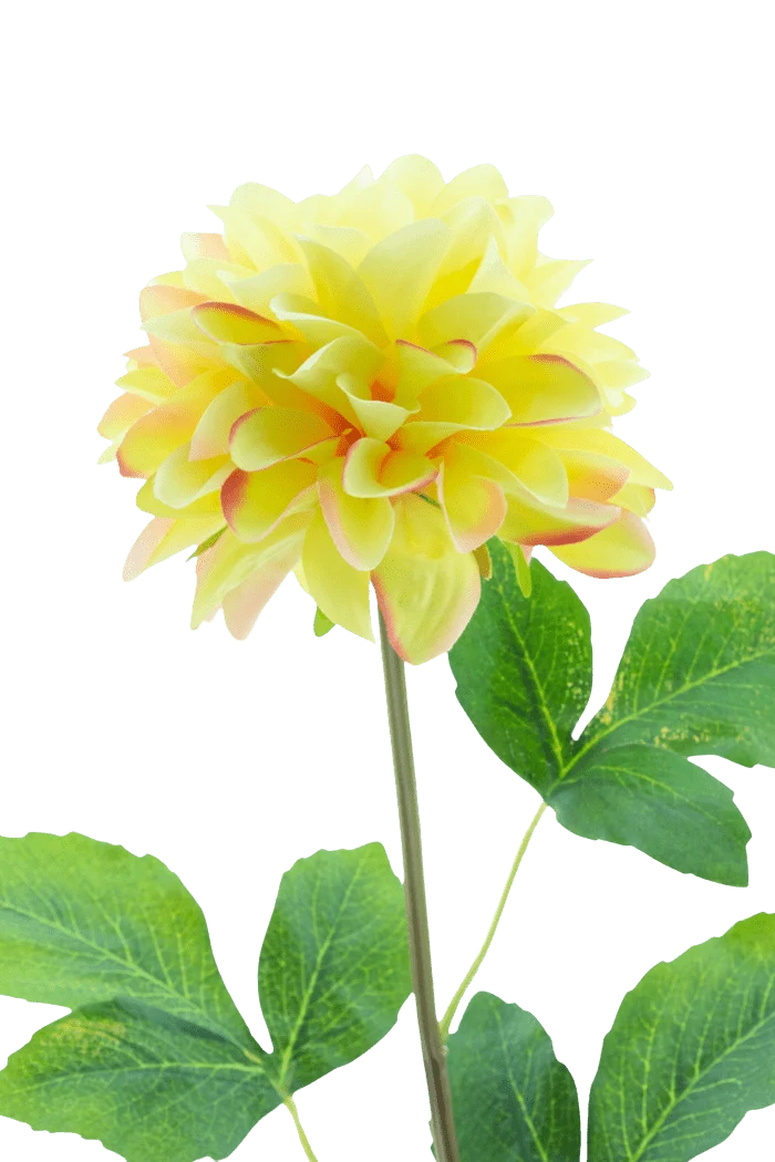 Kunstbloem Dahlia Real Touch Champagne 73 cm