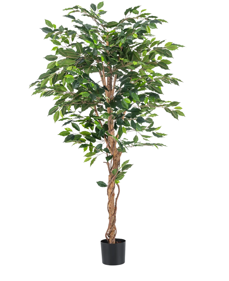 Künstliche Pflanze Ficus Grün 180 cm