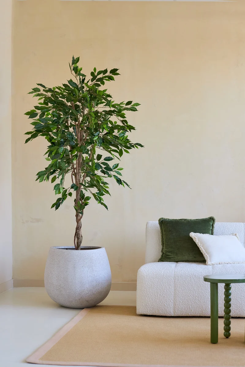 Künstliche Pflanze Ficus Grün 180 cm
