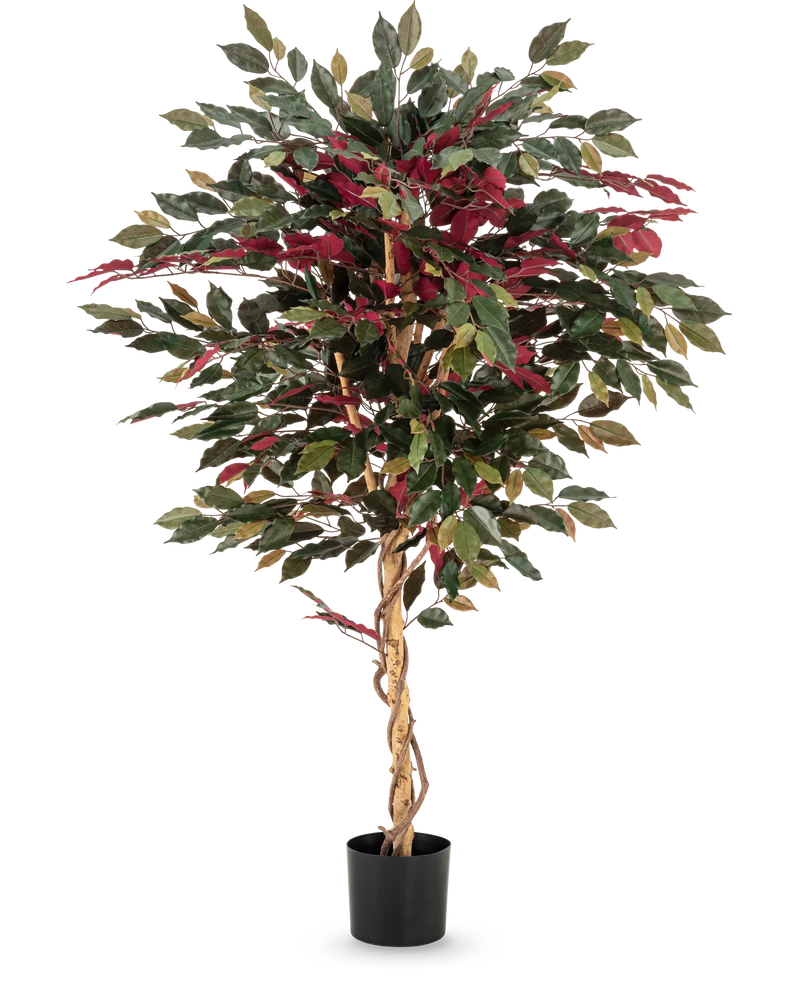Kunstpflanze Ficus grün/rot 150 cm