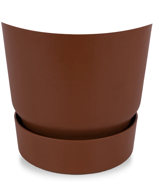 Greenville (16cm)