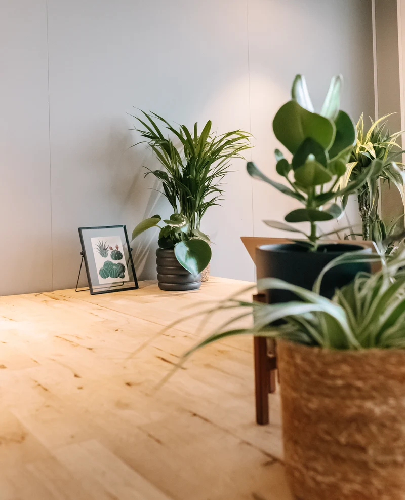 Büro Kracher