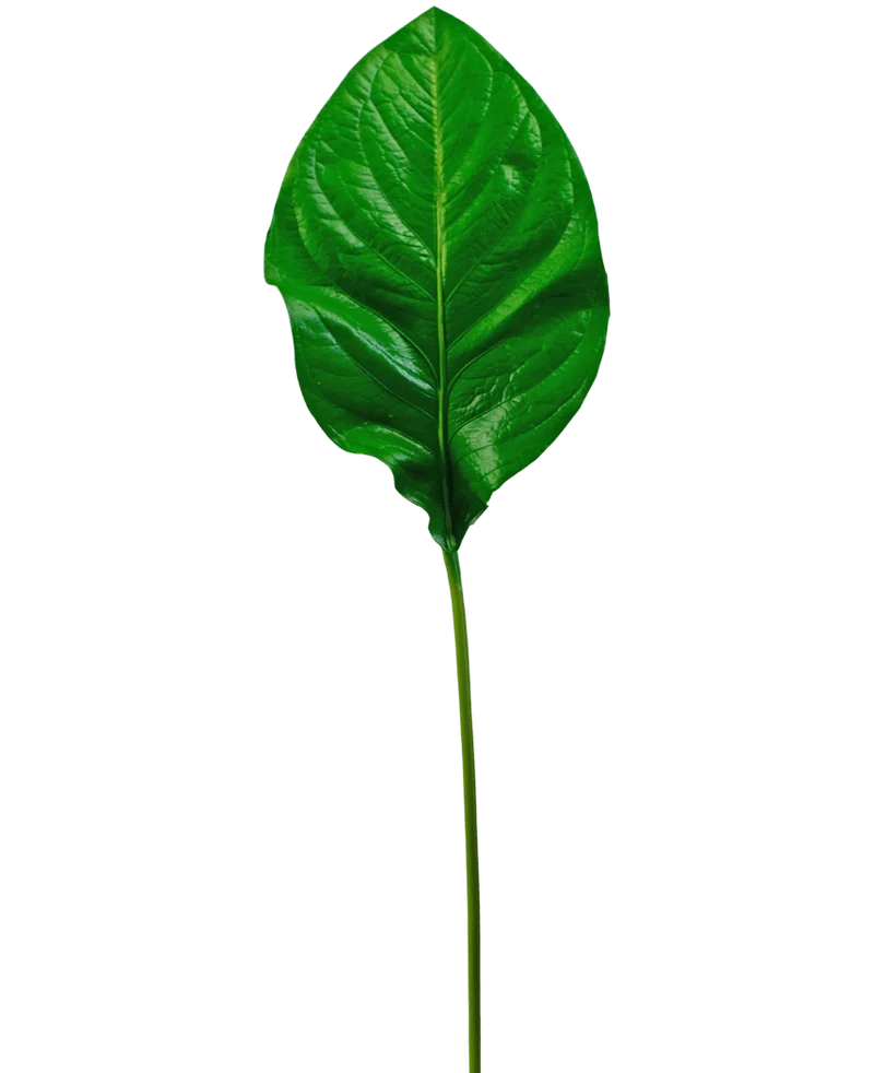 Künstliches Blatt Grün 90cm