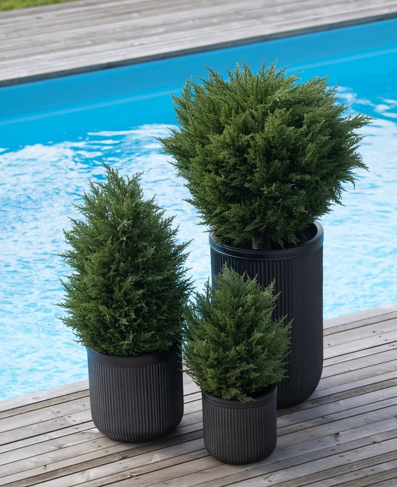 Kunstplant Conifeer deluxe UV 60 cm