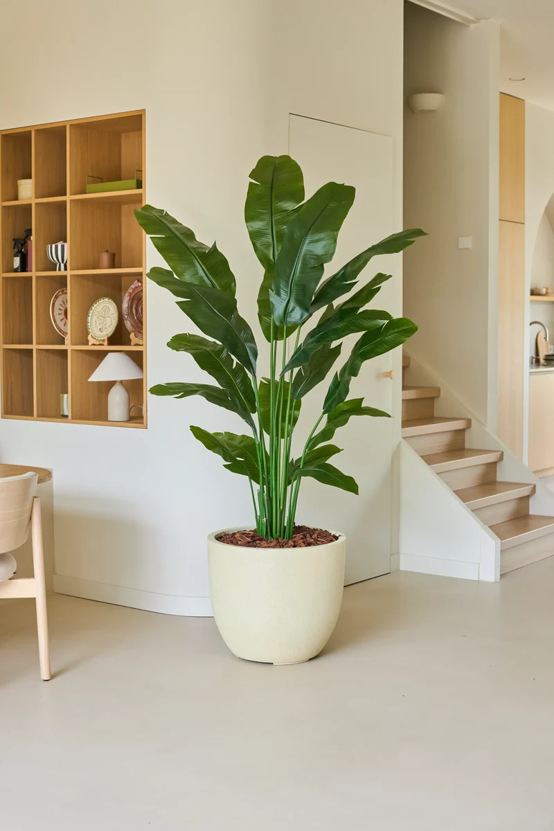 Kunstplant Strelitzia Nicolai Deluxe 195 cm