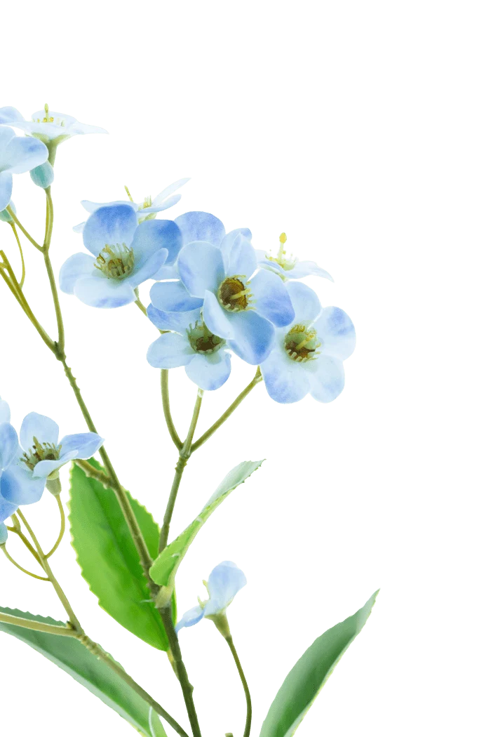 Kunstbloem Orchidee Real Touch Blauw 50 cm