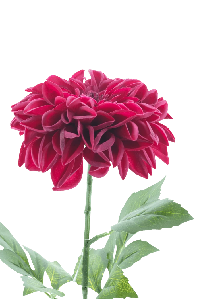 Kunstbloem Dahlia Real Touch Paars 72 cm