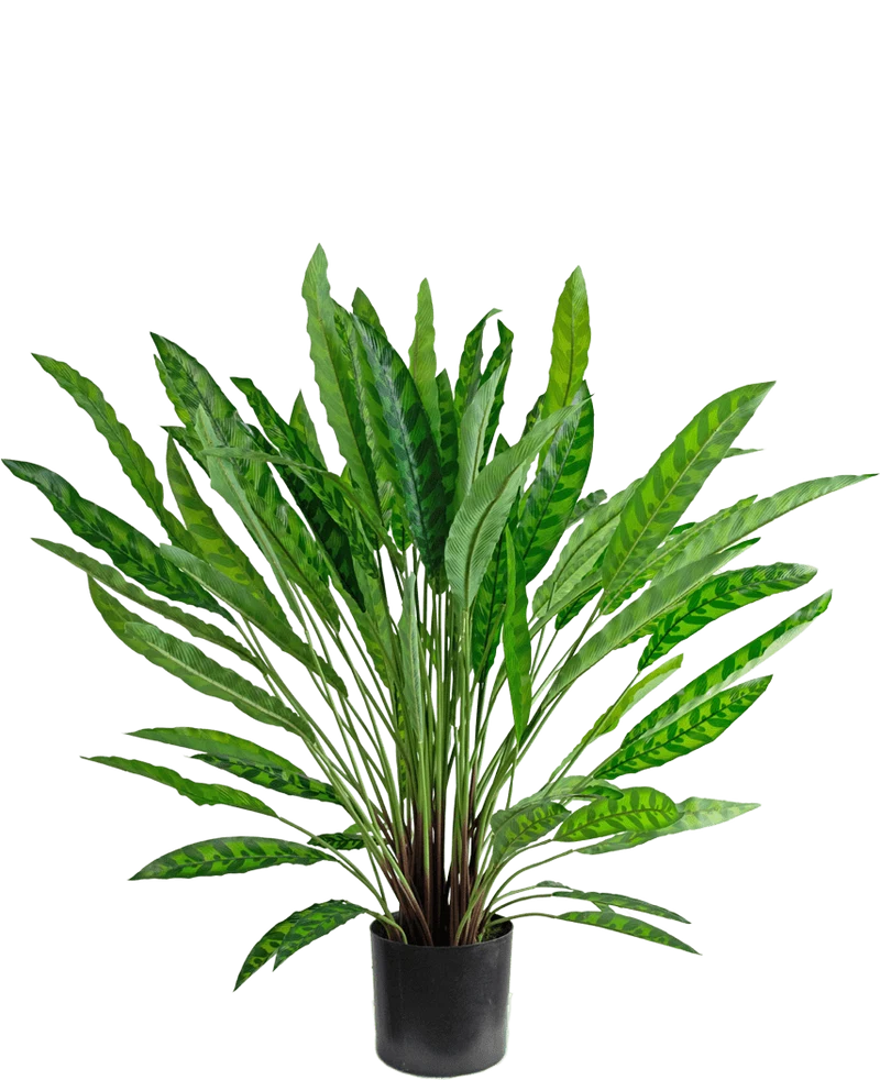 Künstliche Pflanze Calathea 85 cm