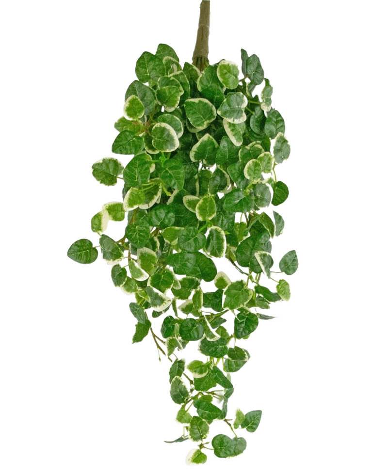Künstliche Wandpflanze Pumila 50 cm