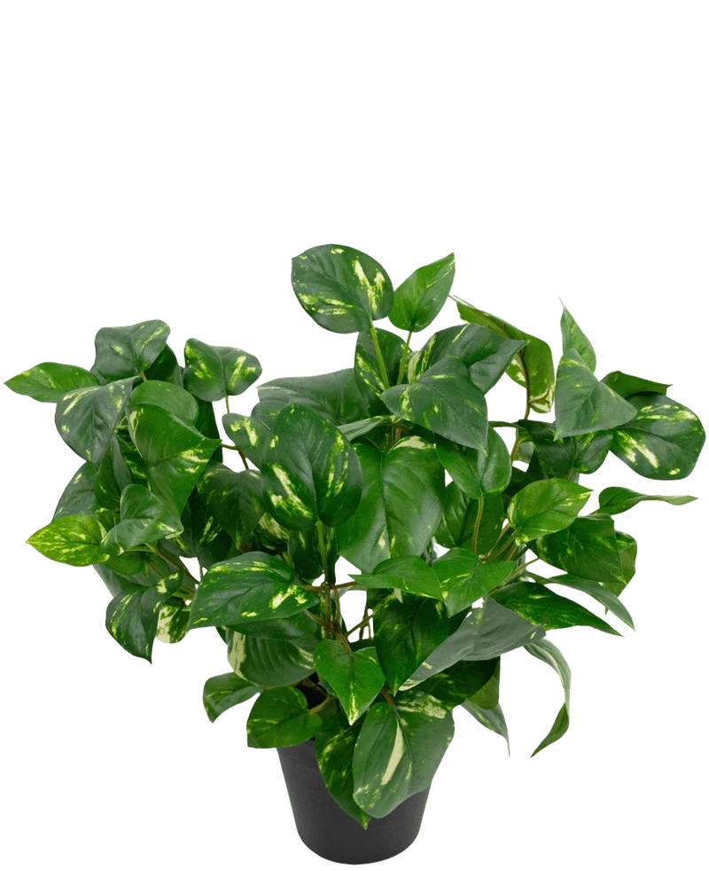Kunstpflanze Golden Vine im Topf 40cm