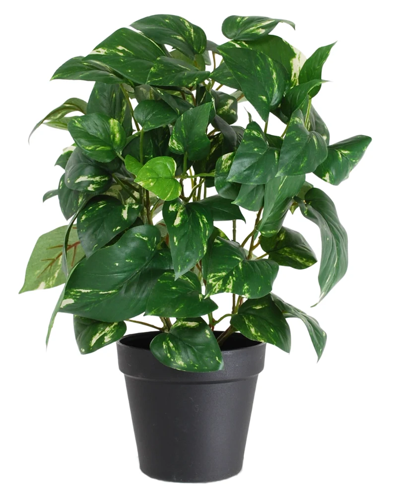 Kunstpflanze Golden Vine im Topf 40cm