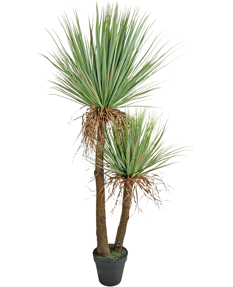 Künstliche Yucca Deluxe 153 cm