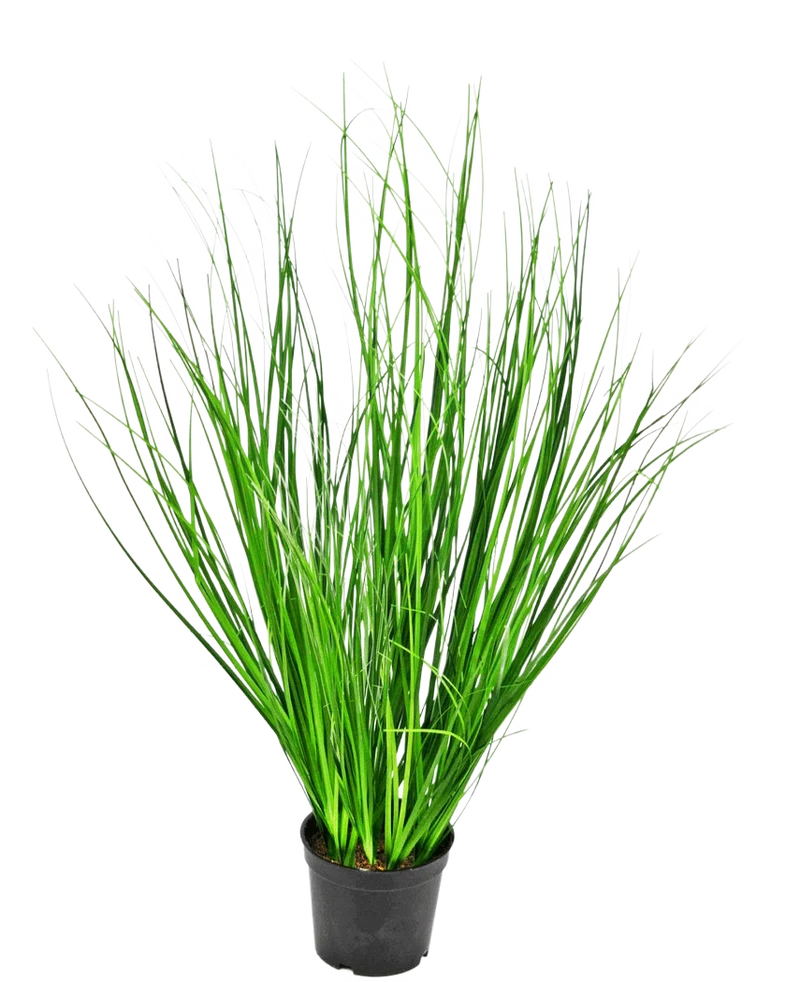 Kunstgras Pflanze Zwiebel 58 cm feuerhemmend