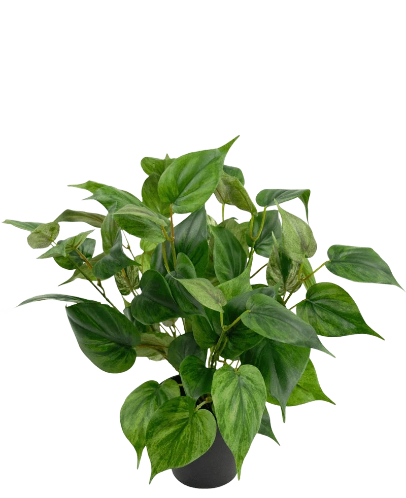 Künstliche Pflanze Philodendrion im Topf 40 cm