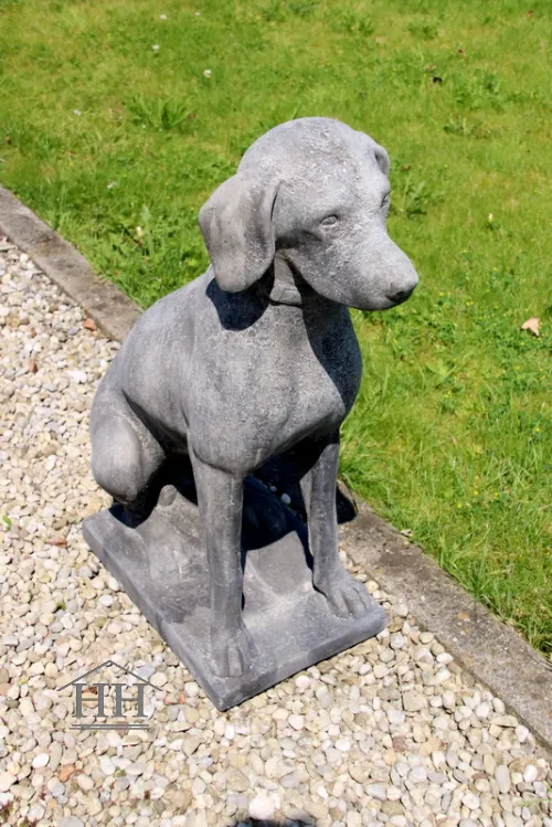 Tuinbeeld zittende hond