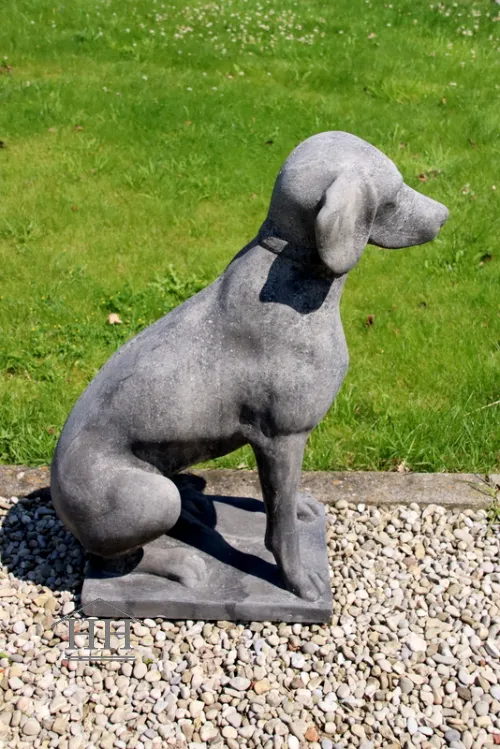 Tuinbeeld zittende hond