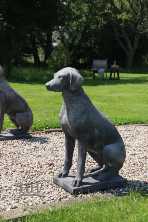 Tuinbeeld zittende hond