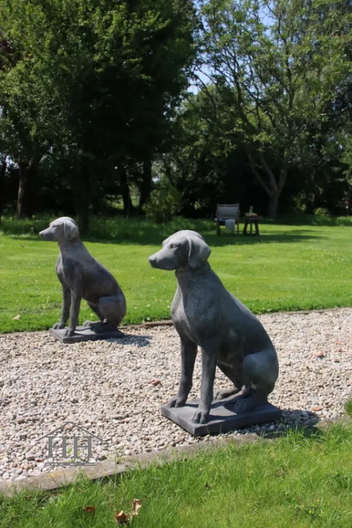 Tuinbeeld zittende hond