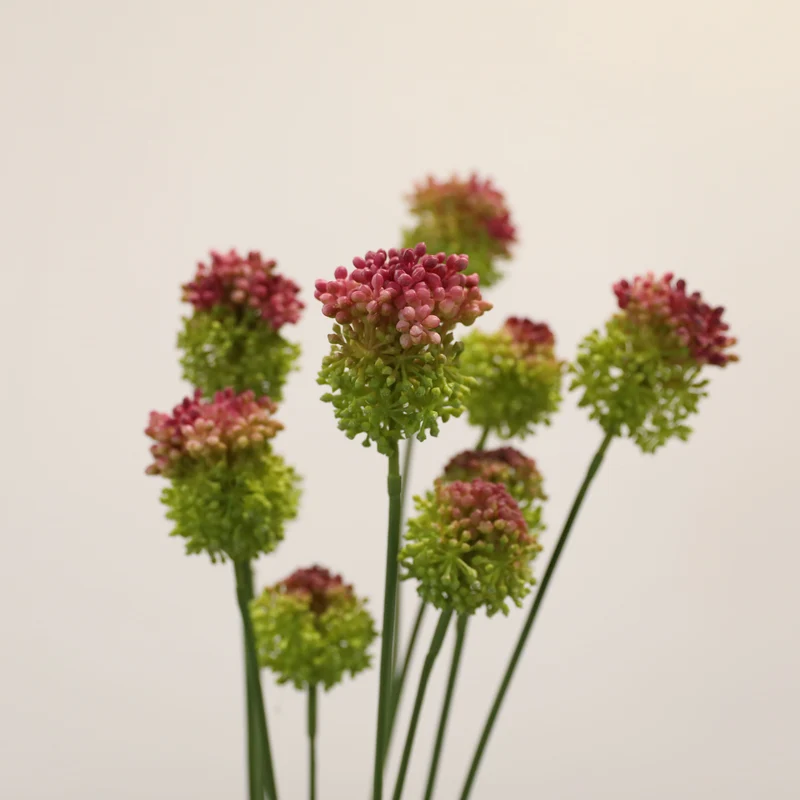 Allium Kunstblume 2er Set, 70cm Zierlauch Stiel, Naturgetreue Pusteblume, Hochwertige Kunstpflanze für Vase, Hochzeit, Floristik & Deko