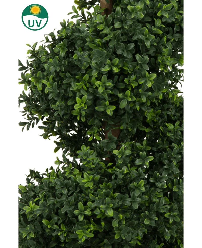 Kunst Buxus Spiraal Romeinse stijl UV 120cm