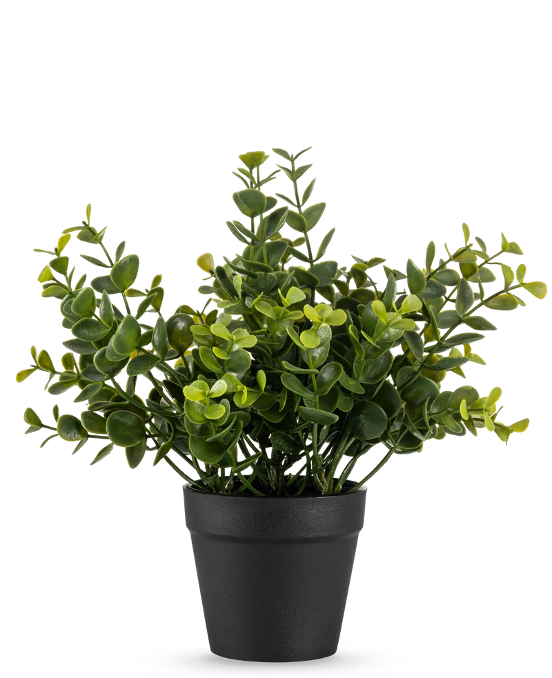 Künstliche Pflanze Pumila 20 cm