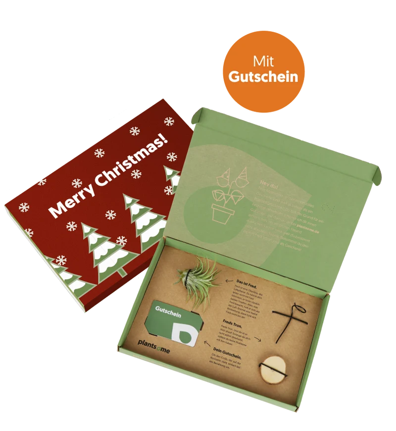 Giftbox