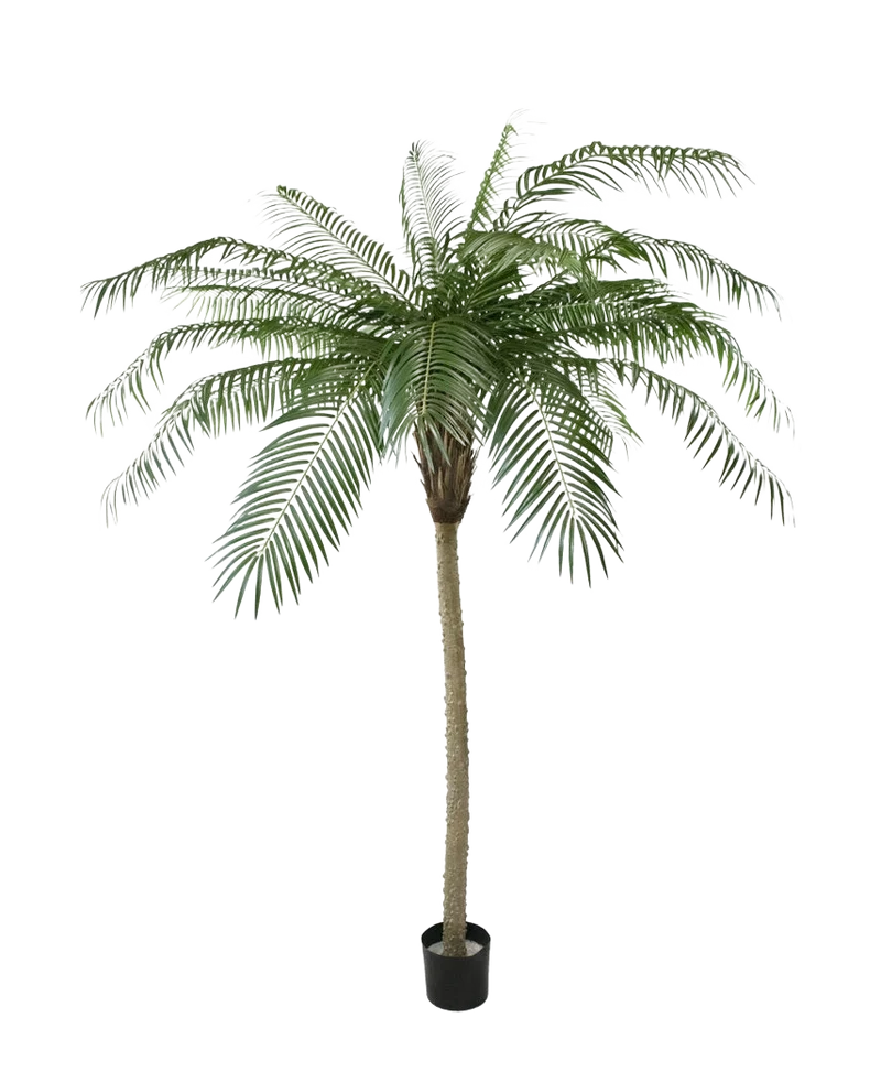Künstliche Palme Phoenix De Luxe 210 cm