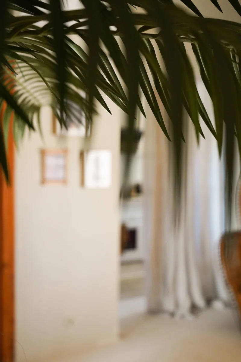 Künstliche Palme Phoenix De Luxe 210 cm