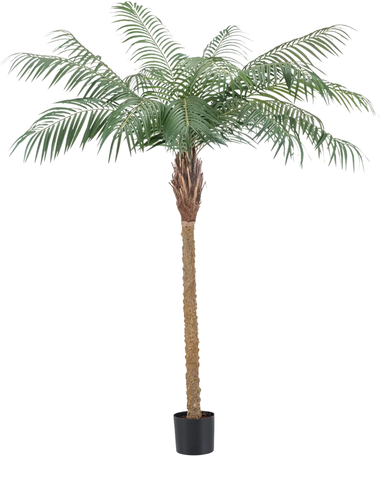 Künstliche Pflanze Phoenix Palm De Luxe 180 cm