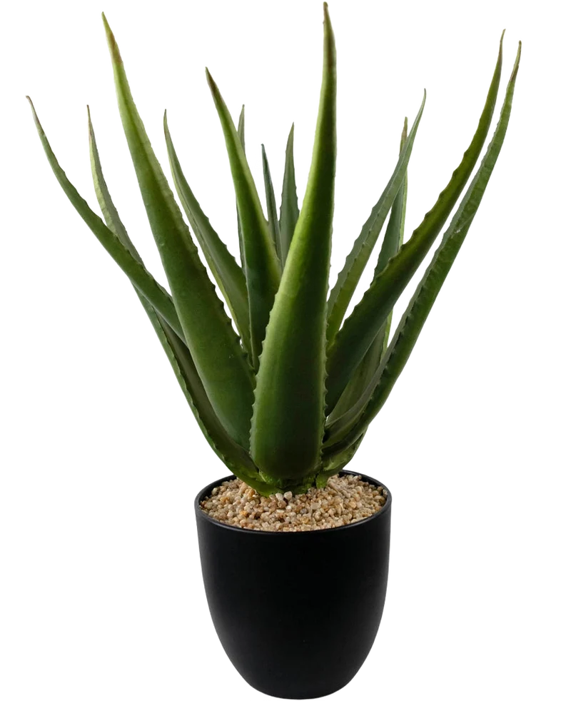 Künstliche Pflanze Aloe Vera 45 cm