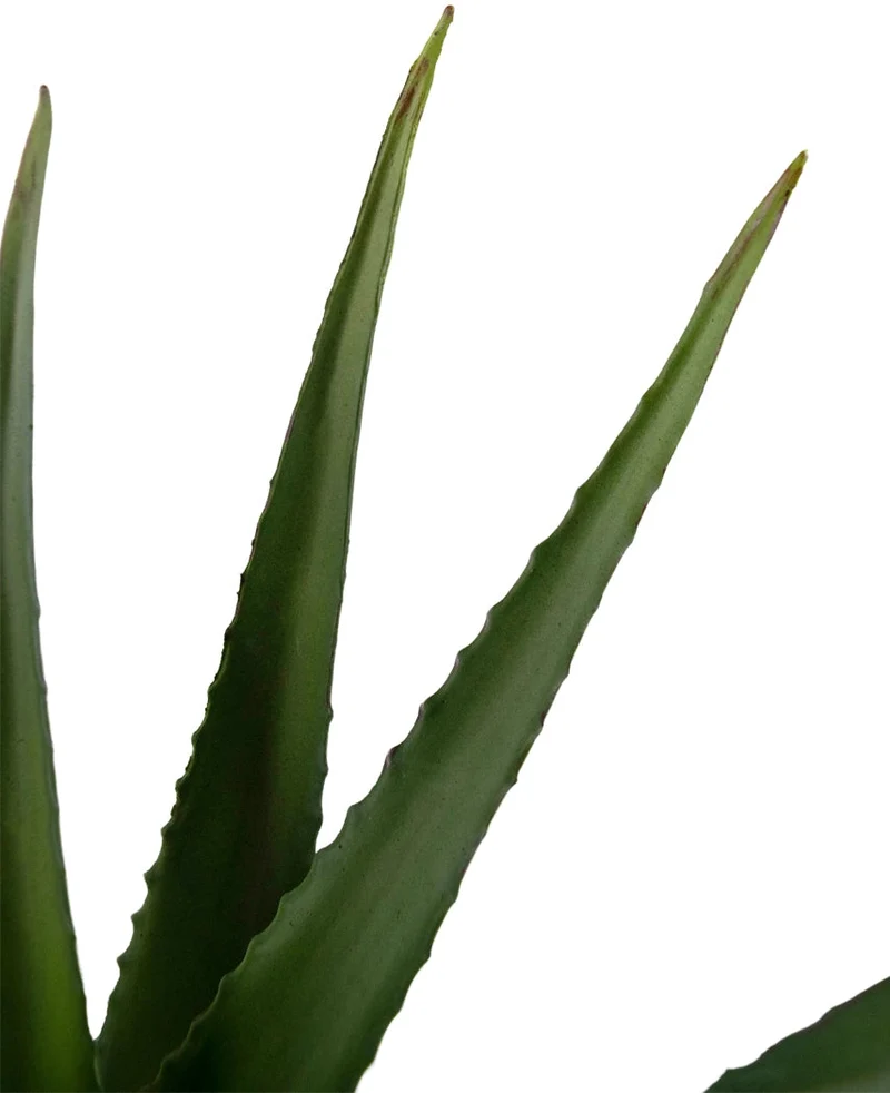 Künstliche Pflanze Aloe Vera 45 cm