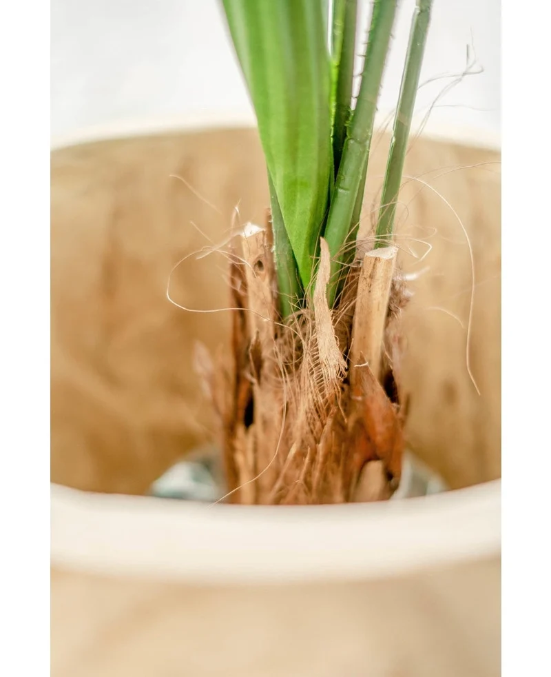 Kunstplant Lucuala Grandis 120 cm