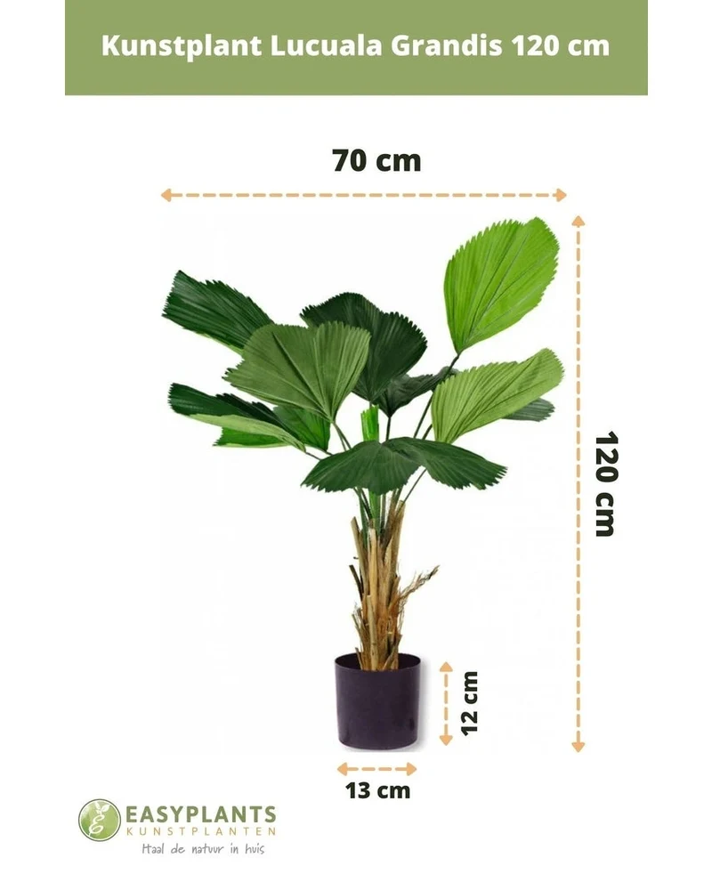 Kunstplant Lucuala Grandis 120 cm