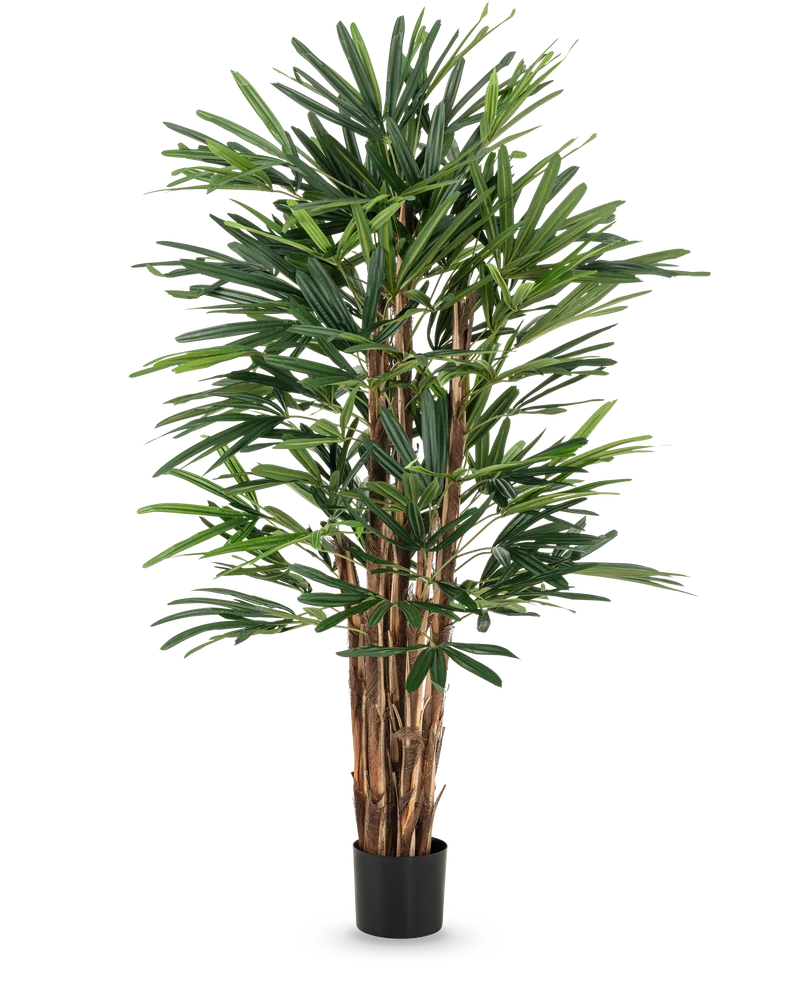 Künstliche Palme Dame 150 cm
