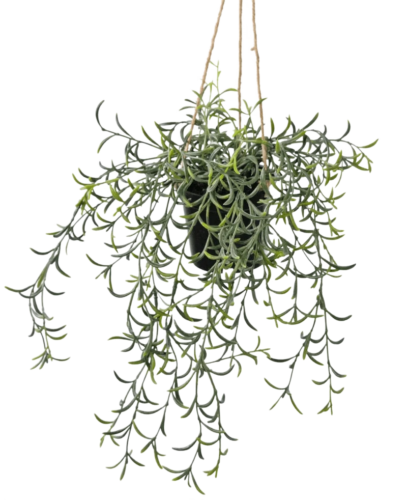 Künstliche Hängepflanze Senecio mit Topf 35 cm