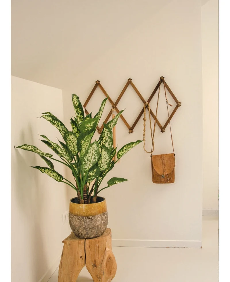 Kunstplant Dieffenbachia UV 75 cm
