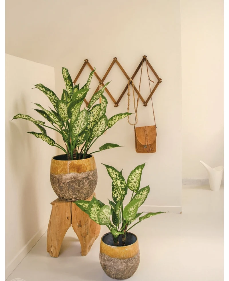 Kunstplant Dieffenbachia UV 75 cm