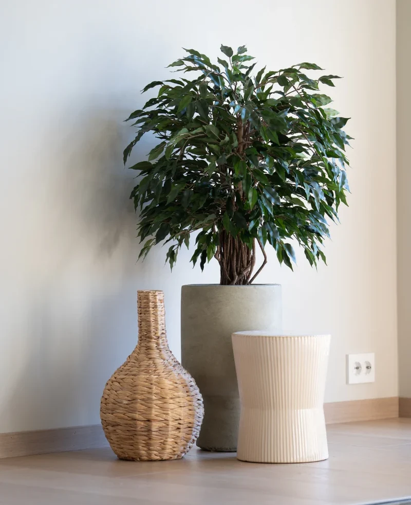 Kunstplant Ficus Liana 90 cm